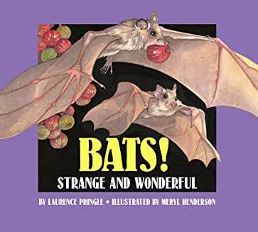 <font color="red"><b>Bats! Strange and Wonderful</b></font>