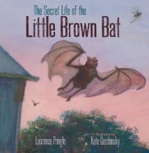 <font color="blue"><b>The Secret Life of the Little Brown Bat</b></font>