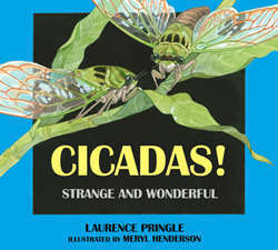 <font color="red"><b>Cicadas! Strange and Wonderful</b></font>