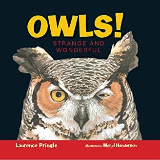 <font color="blue"><b>Owls! Strange and Wonderful</b></font>