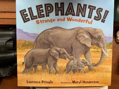 ELEPHANTS! STRANGE AND WONDERFUL